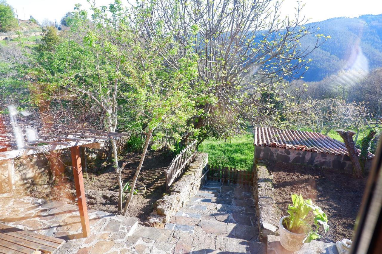 Retiro De Gondramaz - 200 M2 Villa Ngoại thất bức ảnh